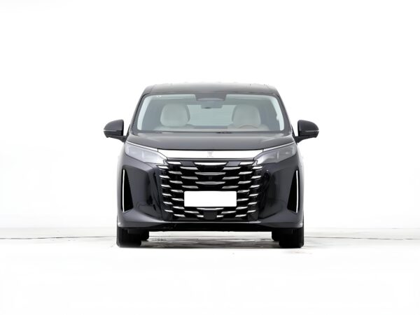 BYD-Xia - Image 4