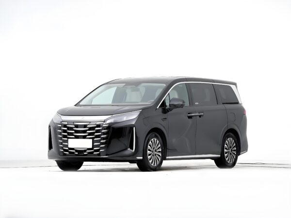 BYD-Xia - Image 3