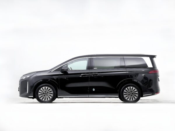 BYD-Xia - Image 9